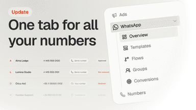 Zernio updates: WhatsApp status, X Articles, and LinkedIn polls - Zernio Blog
