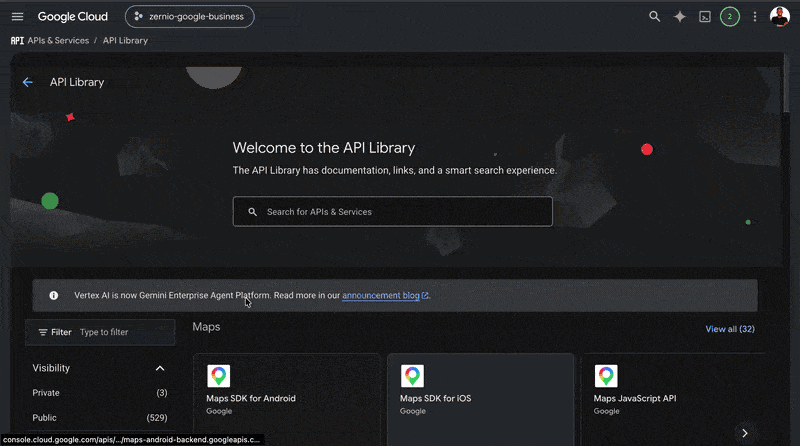 connect Google Business API